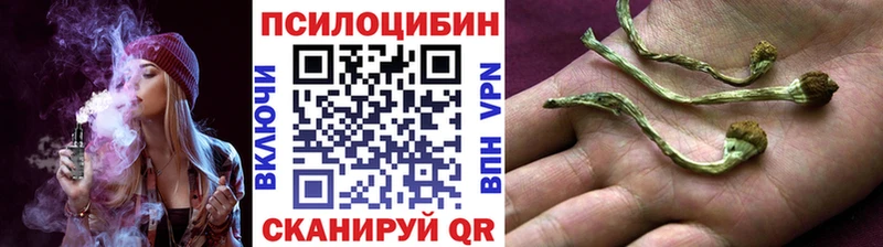 Галлюциногенные грибы GOLDEN TEACHER KRAKEN как войти Анадырь